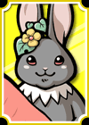 24_close-up.gif